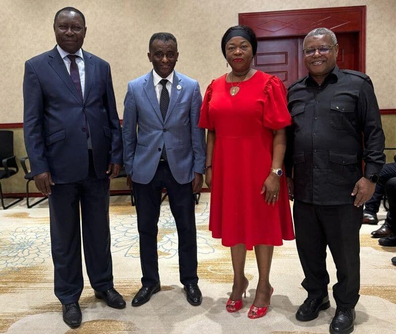 HeDPAC Partners with the Central African Republic to Strengthen Community Health Programs