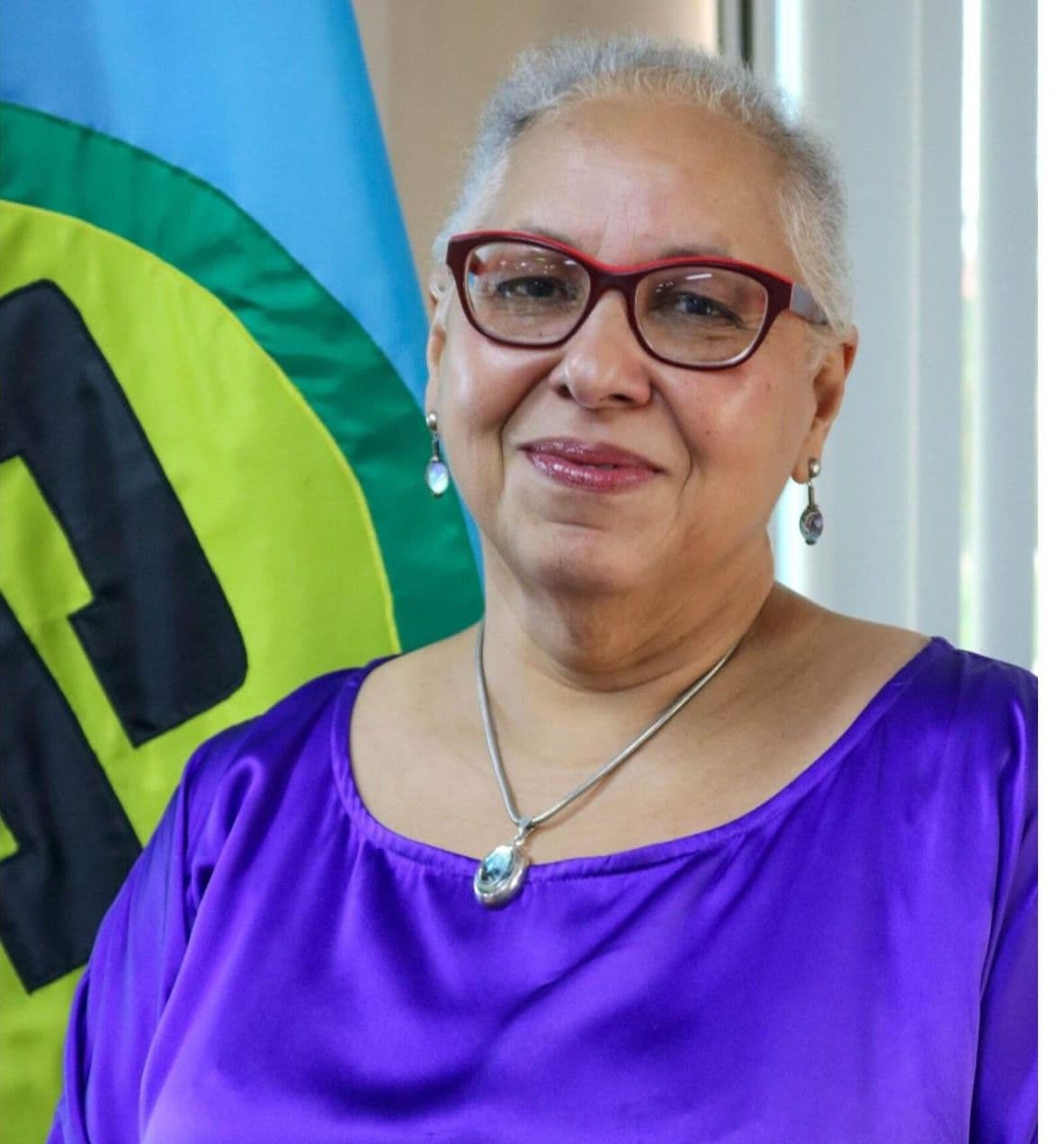 Bringing African–Caribbean South–South Partnership for Health Development